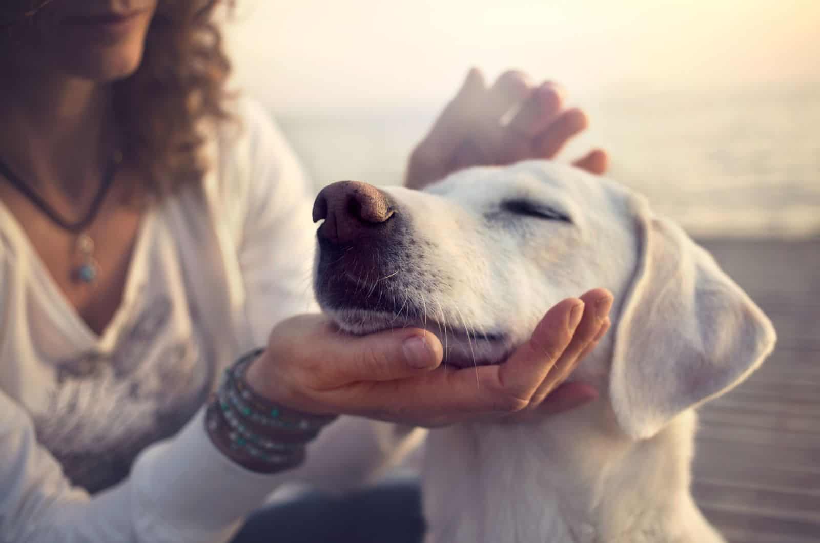 girl caressing gently her dog