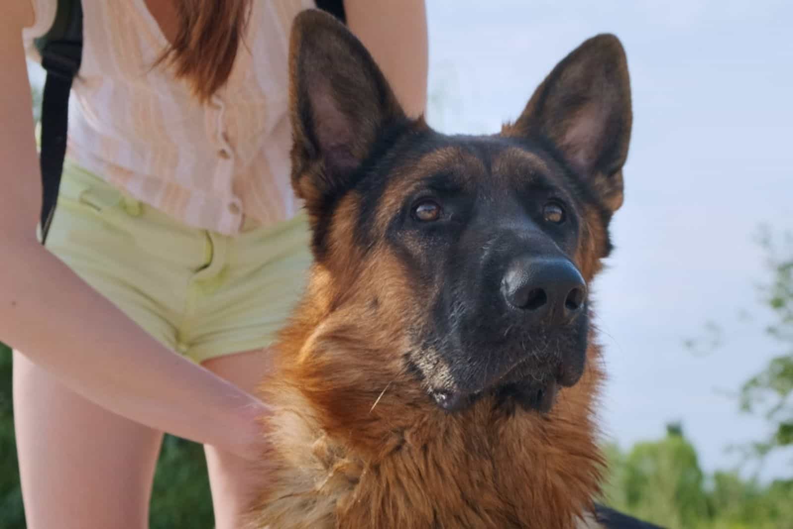 girl cuddling her german shepherd dog in the park