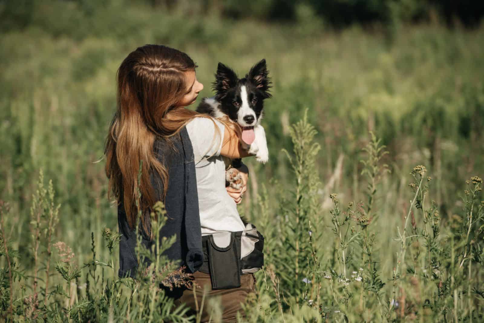 Girl holding on her hands black and white border collie dog puppy in the forest