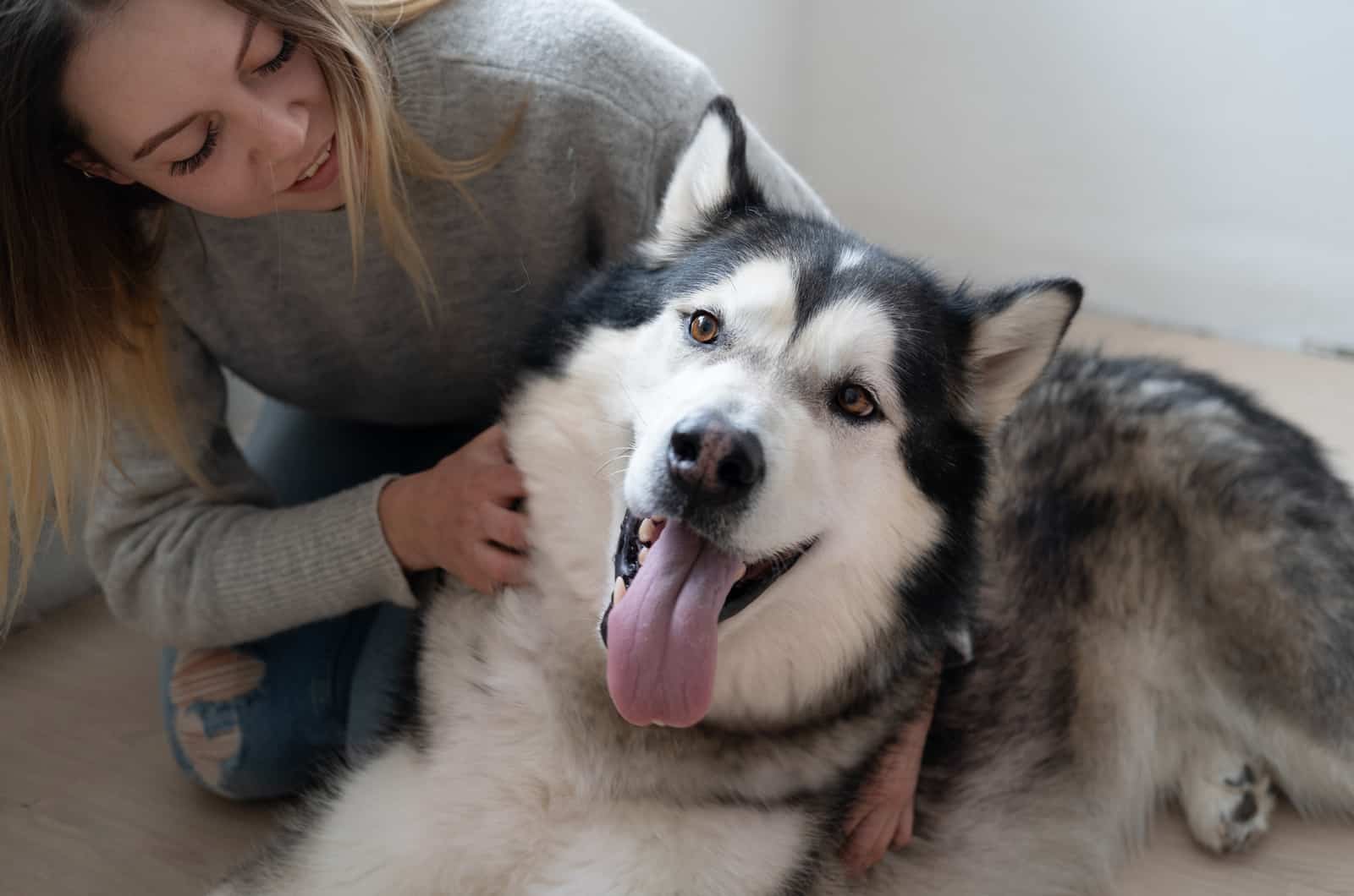 girl hugging her siberian husky