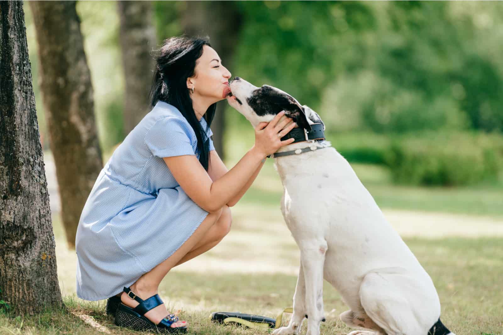 girl in blue dress have fun and playing with her dog