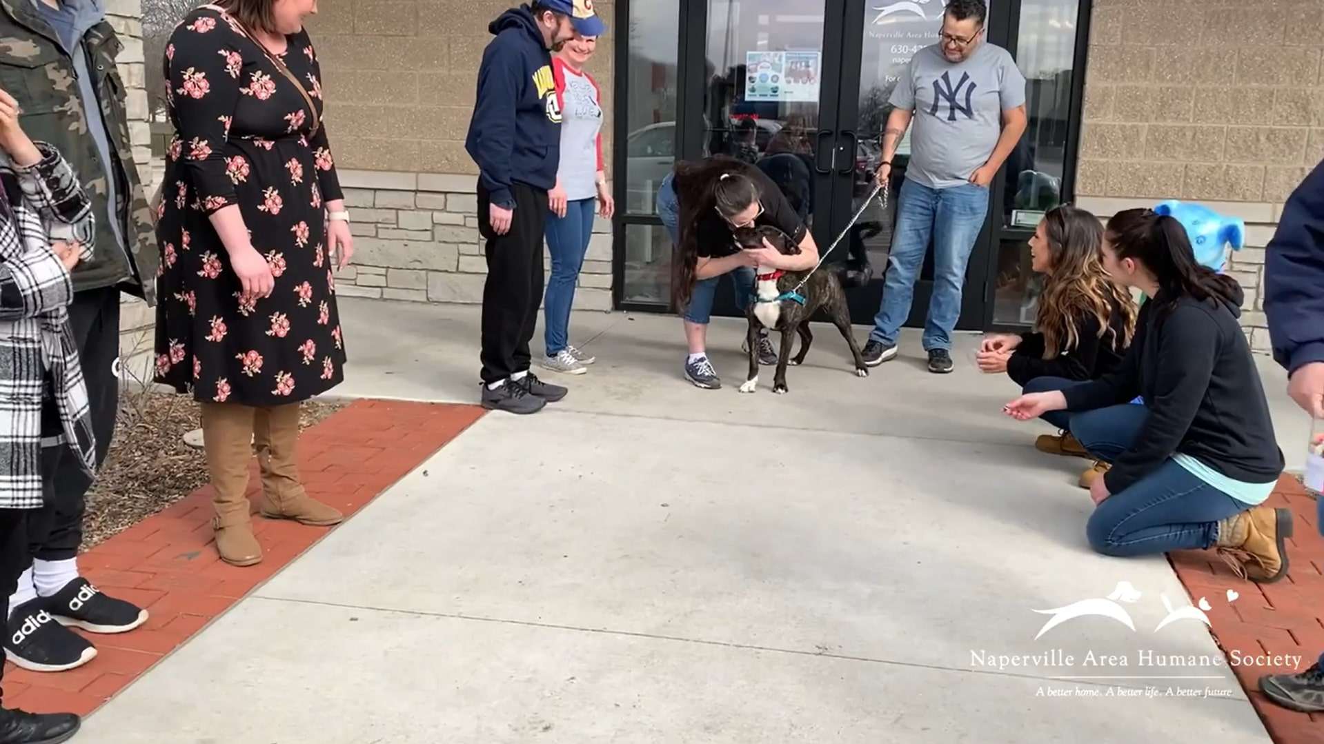 girl kissing the dog