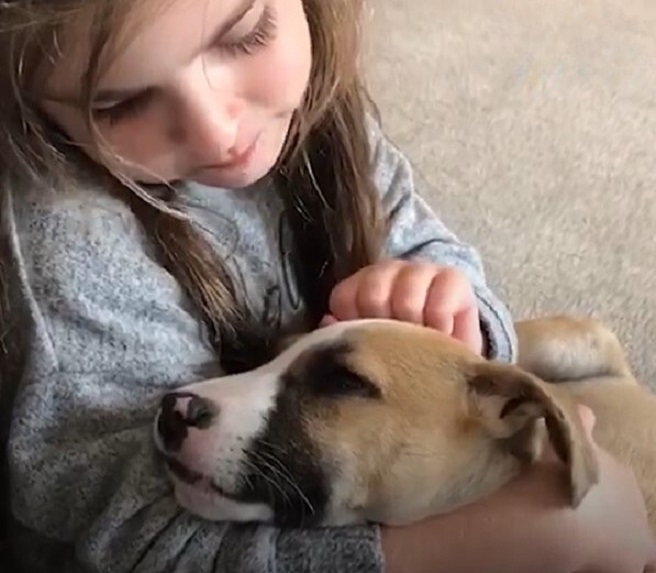 girl petting the dog