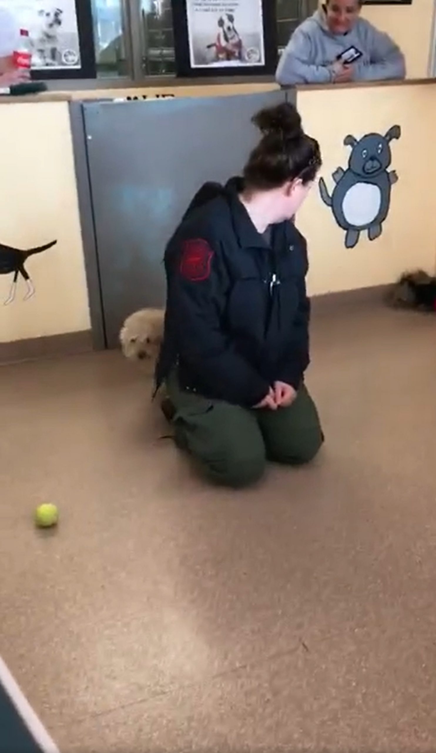 girl playing with dog