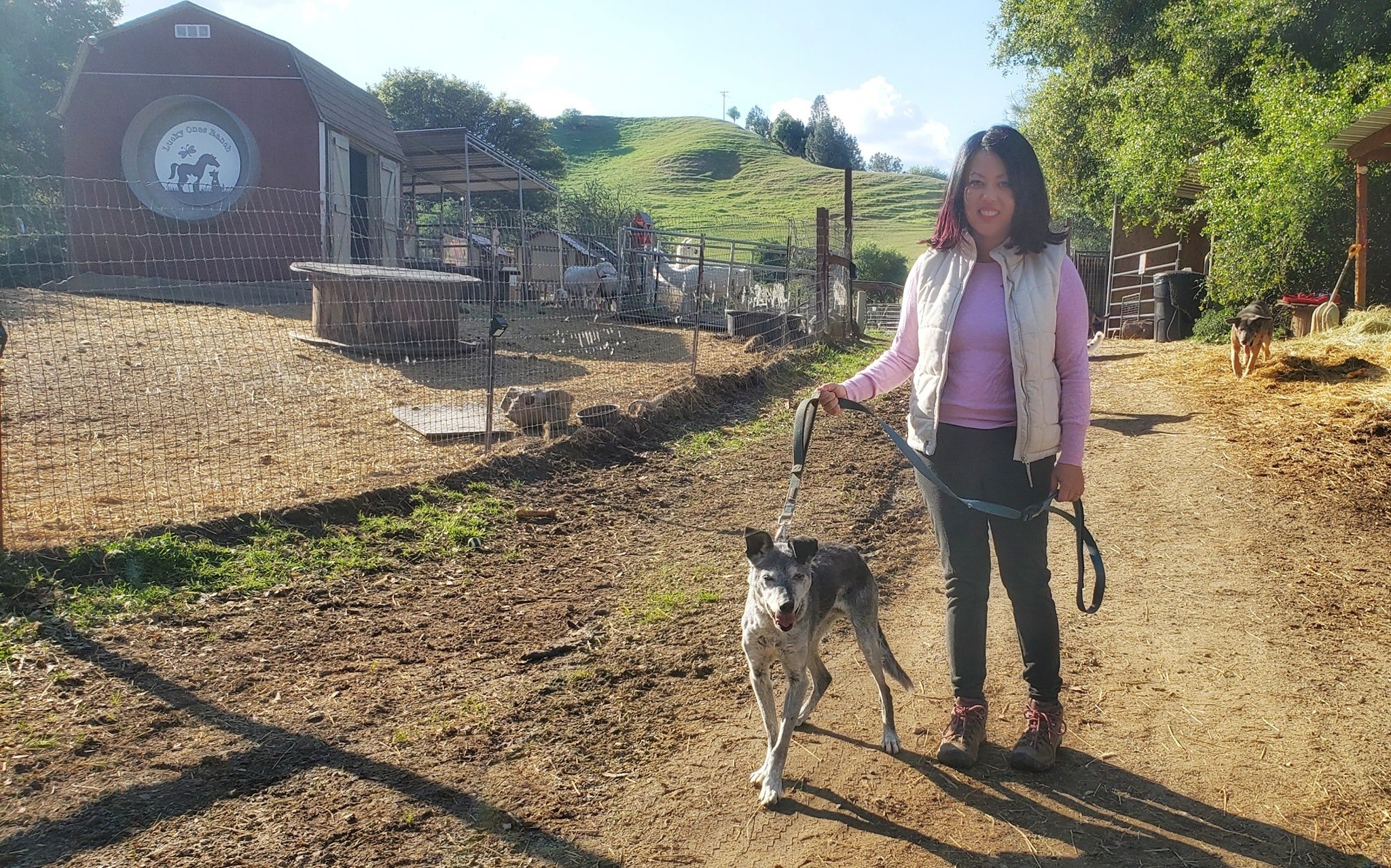 girl walking dog on a leash