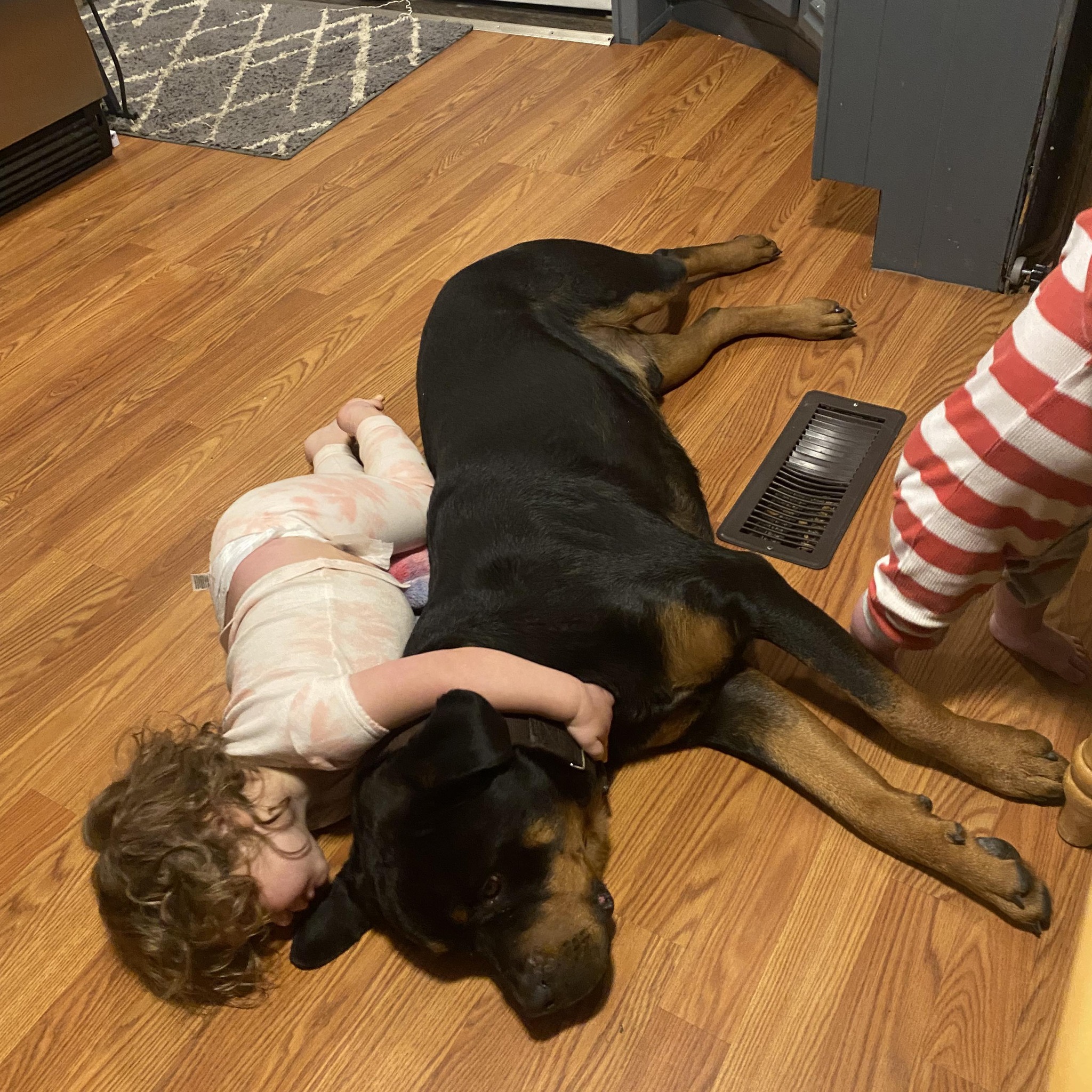 girl with dog sleeps on the floor