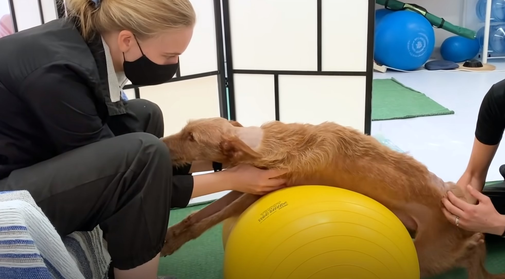 girls helping a paralyzed dog