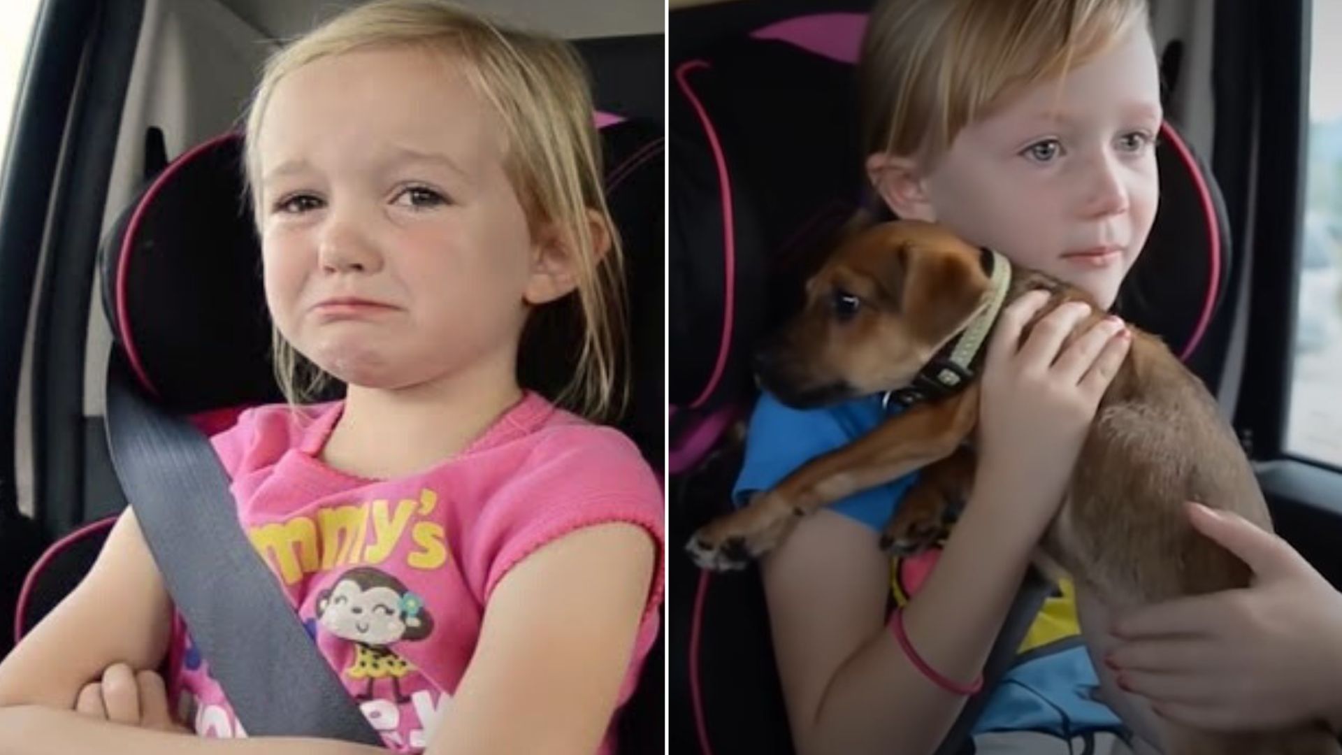 Watch These Little Girls’ Reaction To Getting A Shelter Dog They Wanted So Much