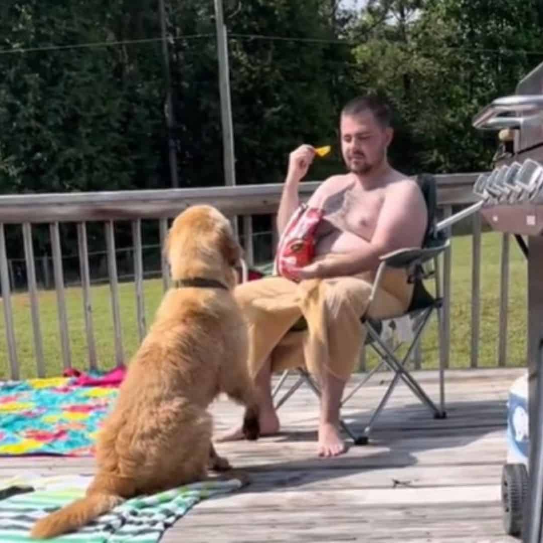 golden retriever sitting by the pool with a man