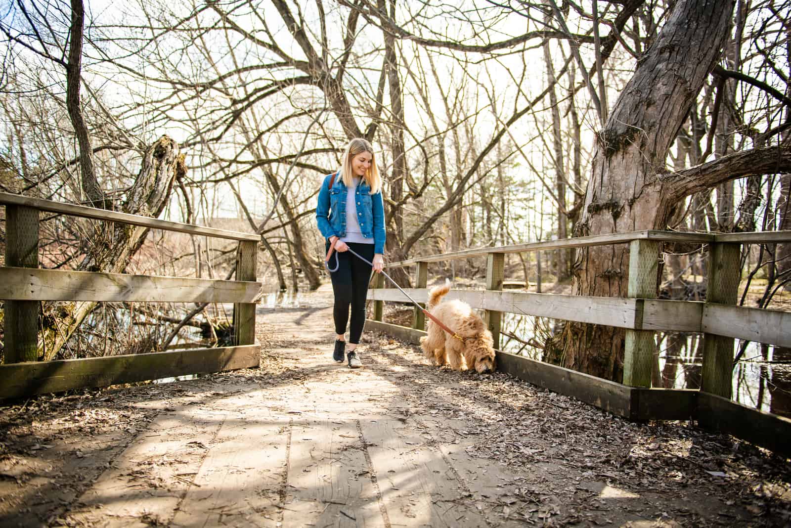 GoldenDoodle and woman outside at the park