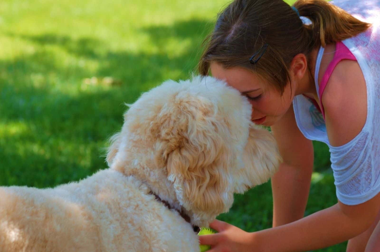 goldendoodle cuddling with its owner in the park