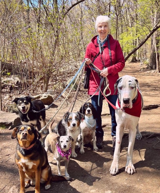 grandmother leads dogs on leashes in the forest