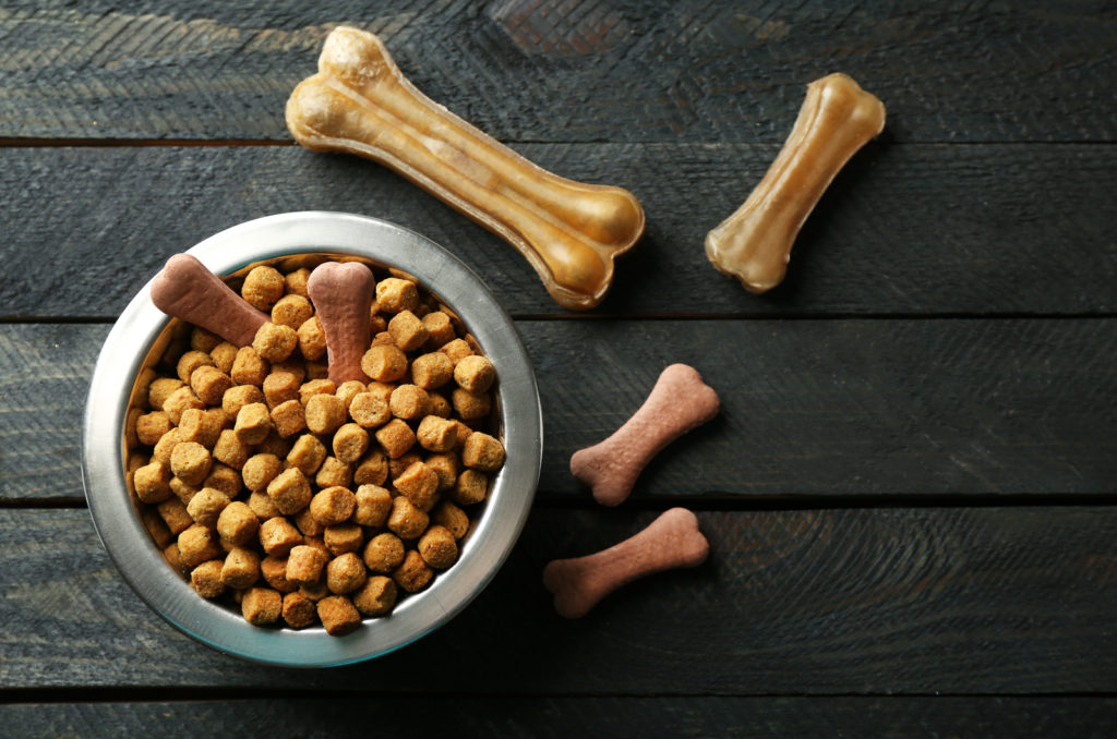 dark grey background and bowl with dog food