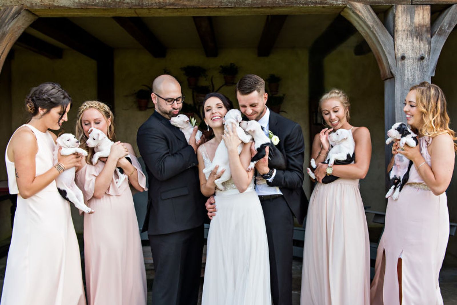 group photo of men and woman holding puppies