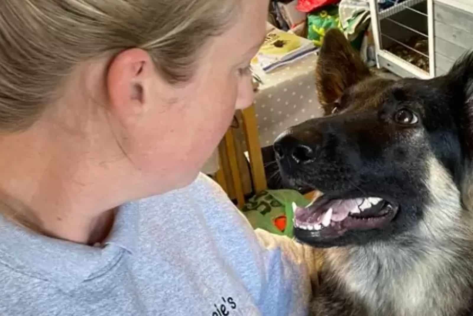 GSD Girl looks at the girl with a smile
