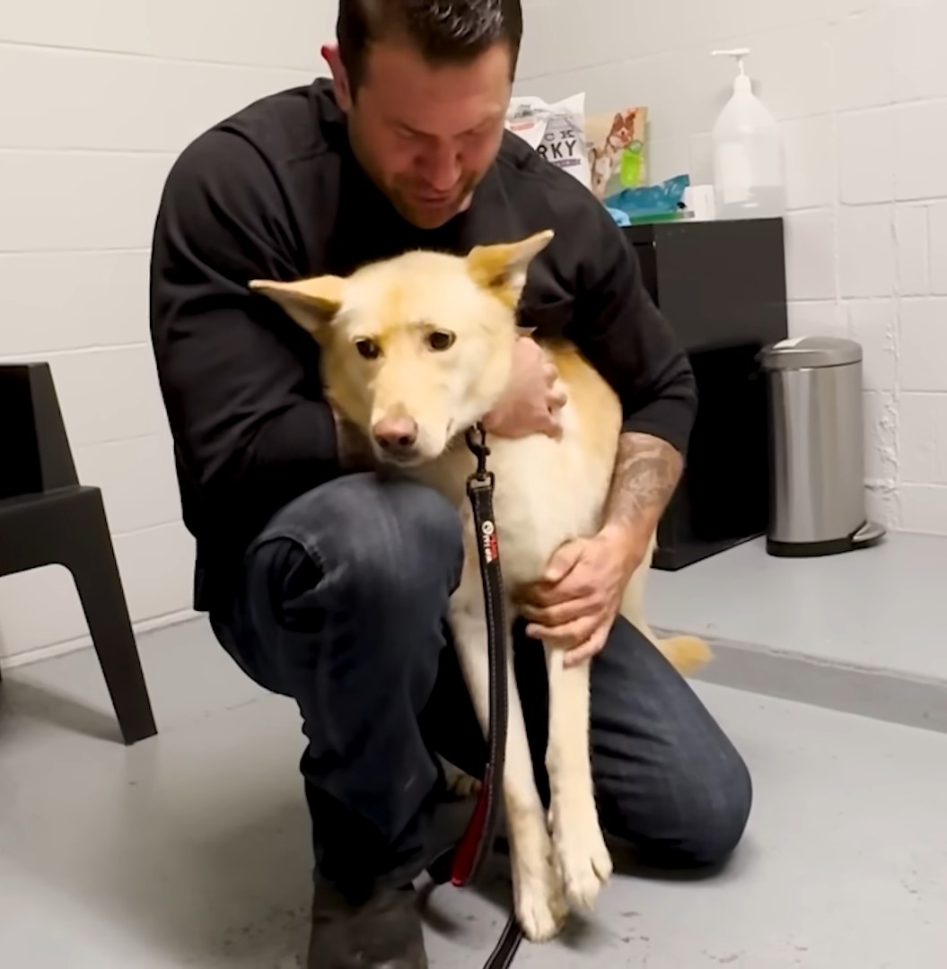 guy hugging scared dog