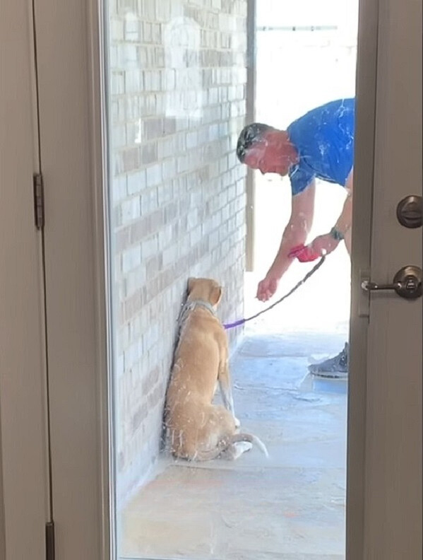 guy taming abandoned dog