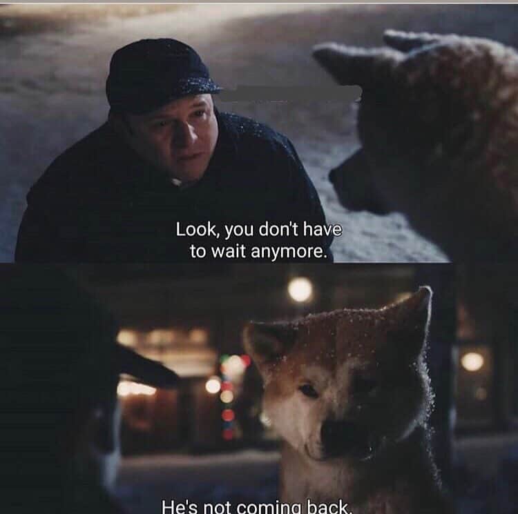 Hachi A Dog’s Tale