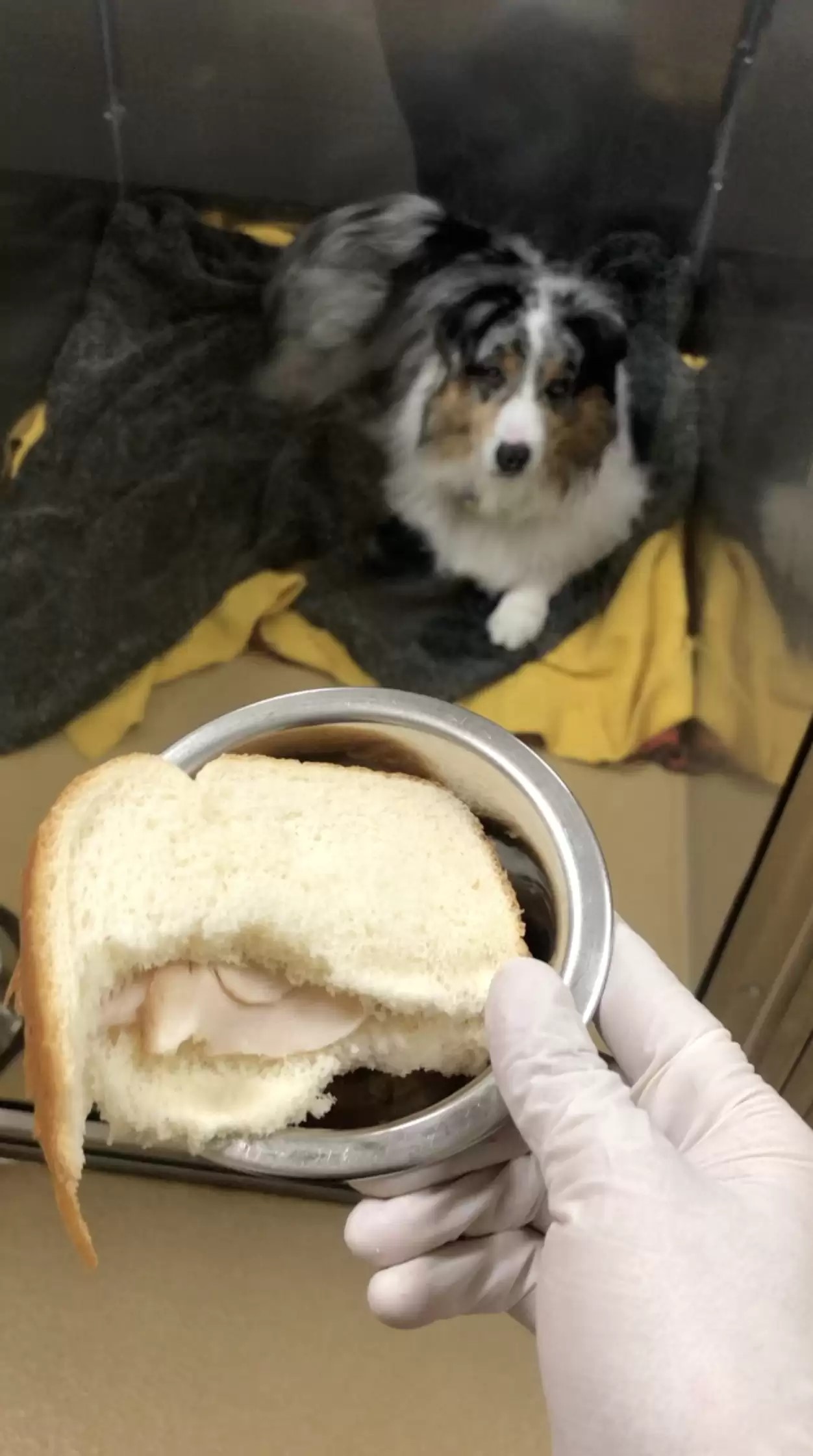 hand holding a bowl with sandwich