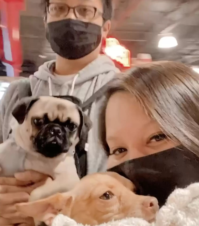 happy couple with dogs