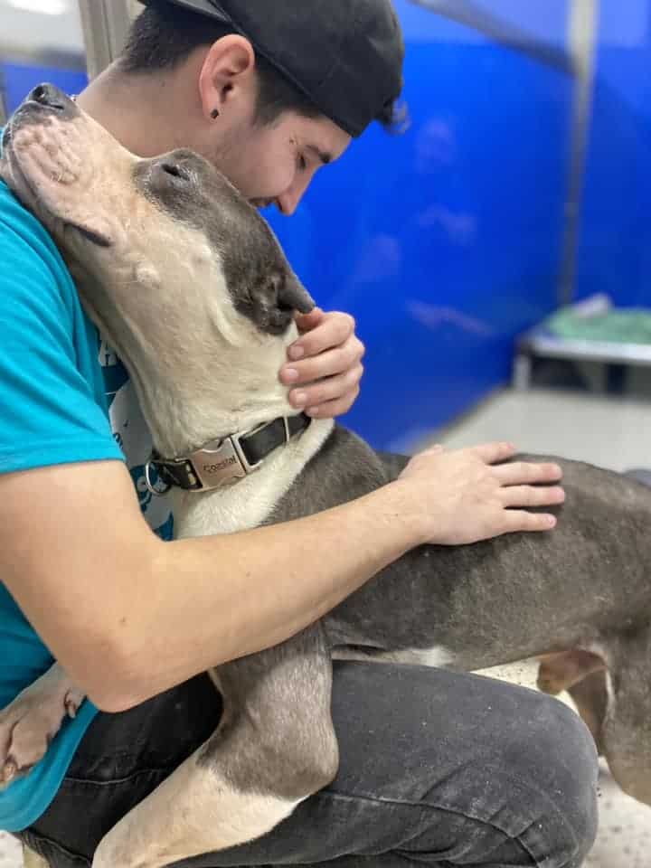 happy dog hugging with owner