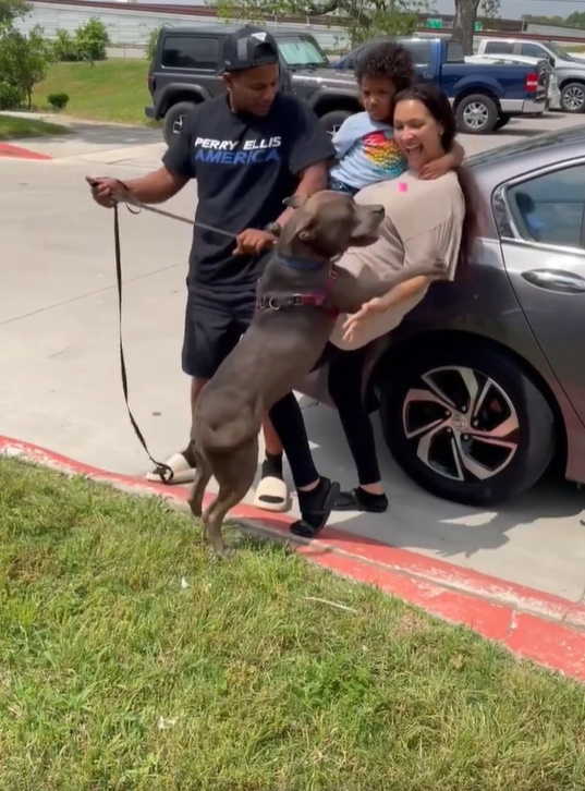 happy dog jumping on his family