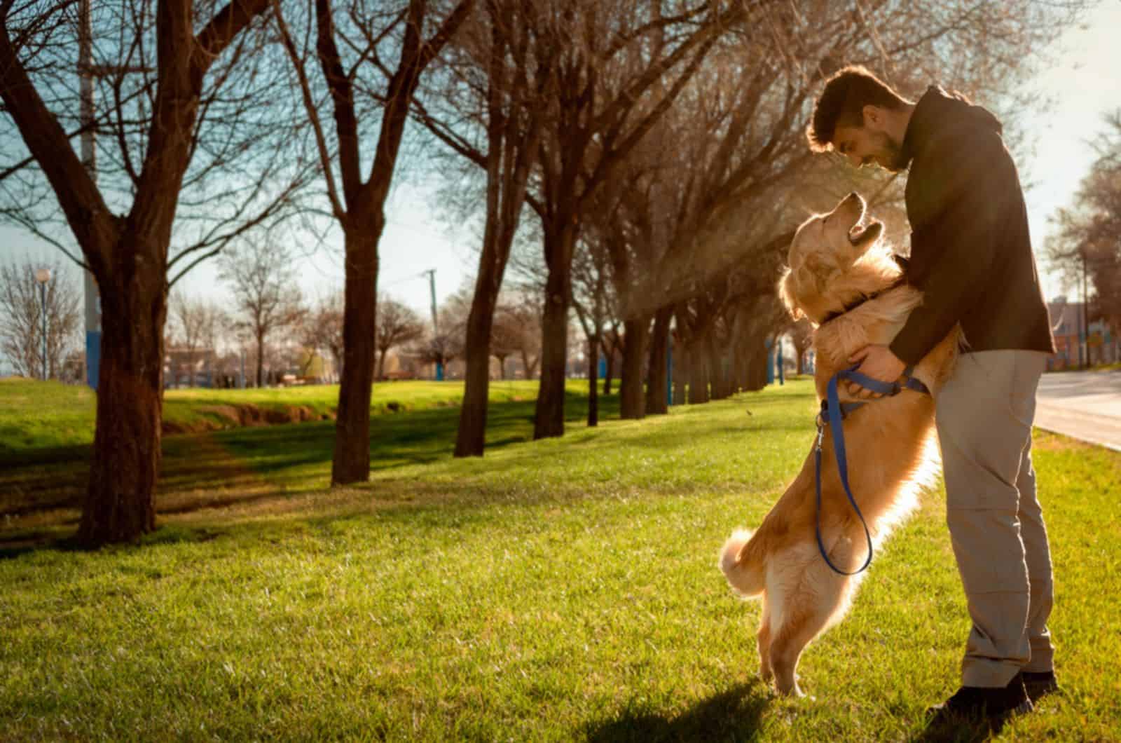 happy dog playing with his owner in the park