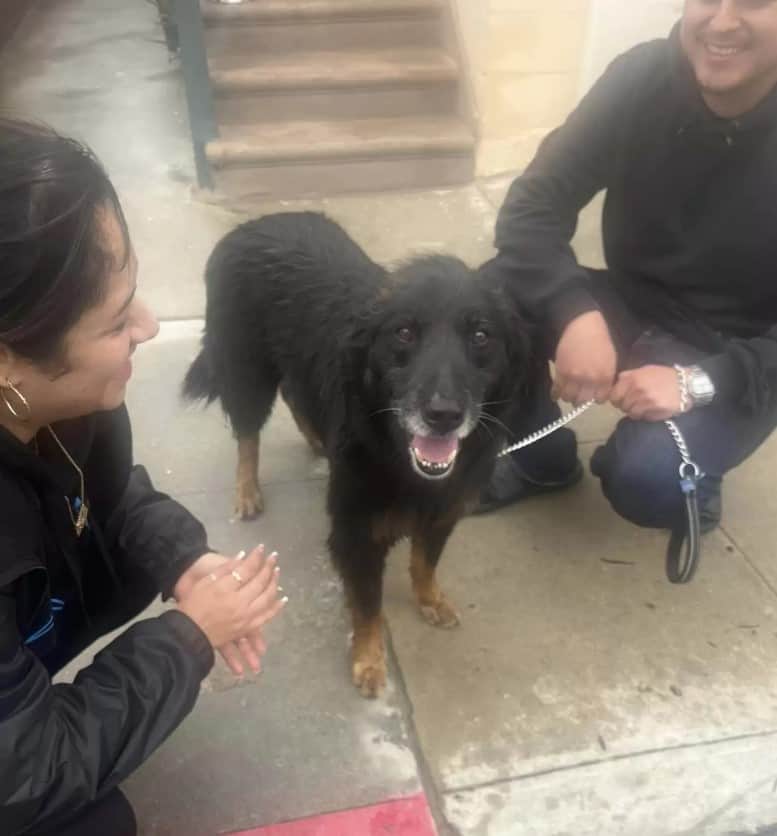 Happy dog with his owners