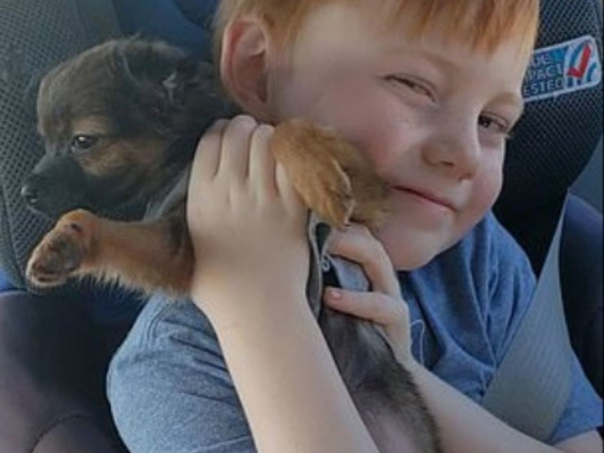 happy little boy with puppy