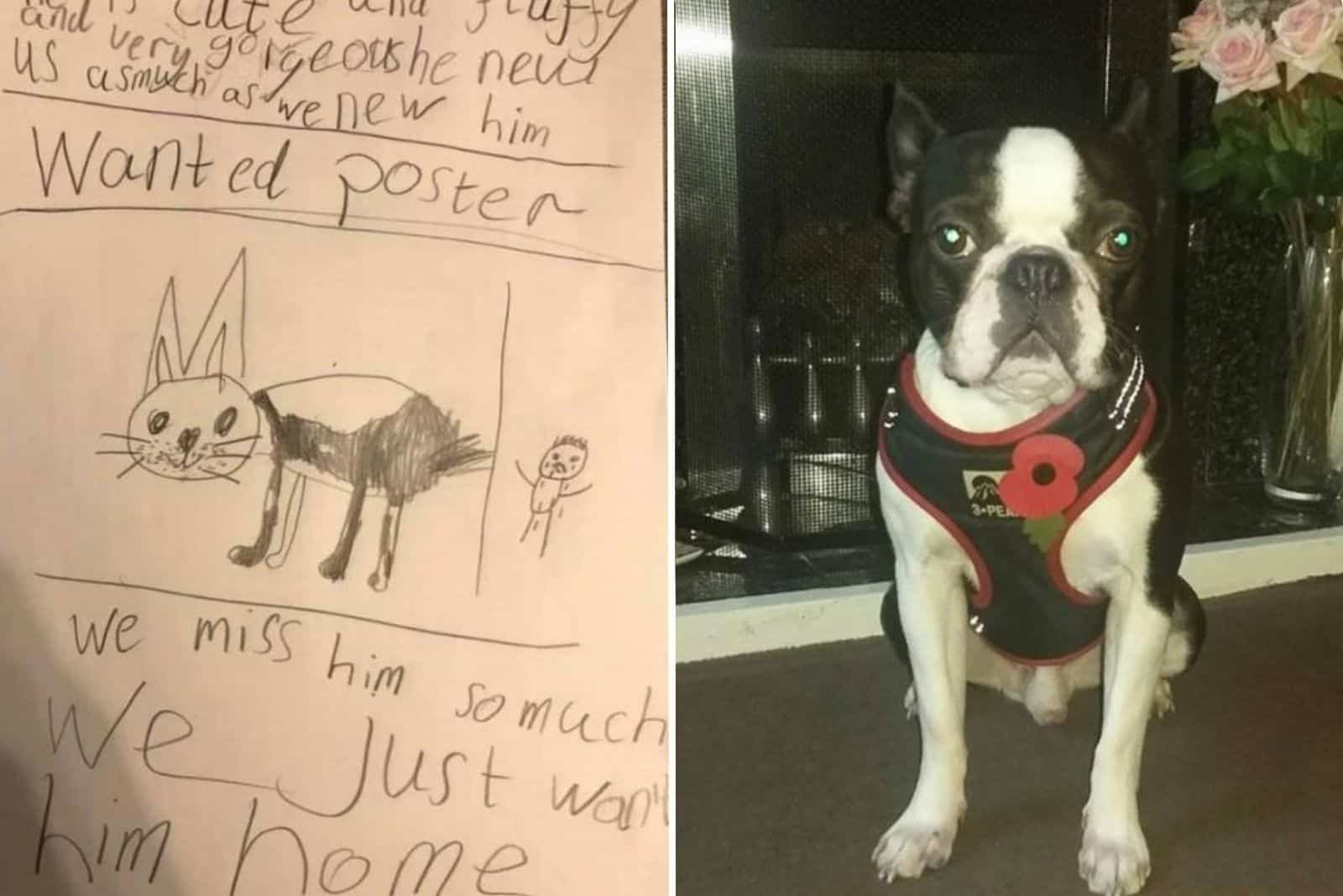 Boy Draws A “Wanted” Poster And Successfully Gets His Lost Dog Back