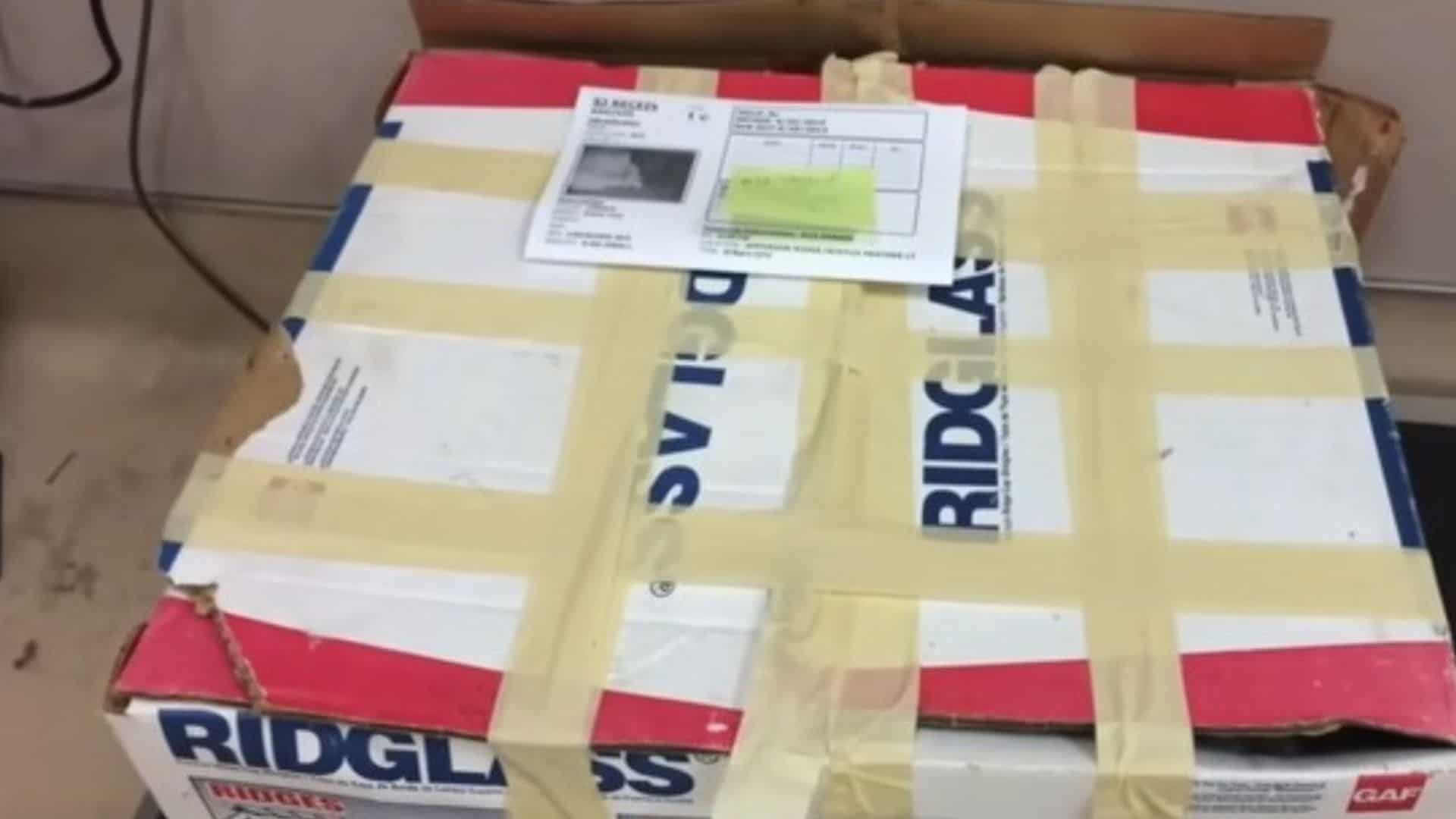 Shelter Workers Couldn’t Believe What They Saw Inside A Mystery Box That Arrived At The Shelter