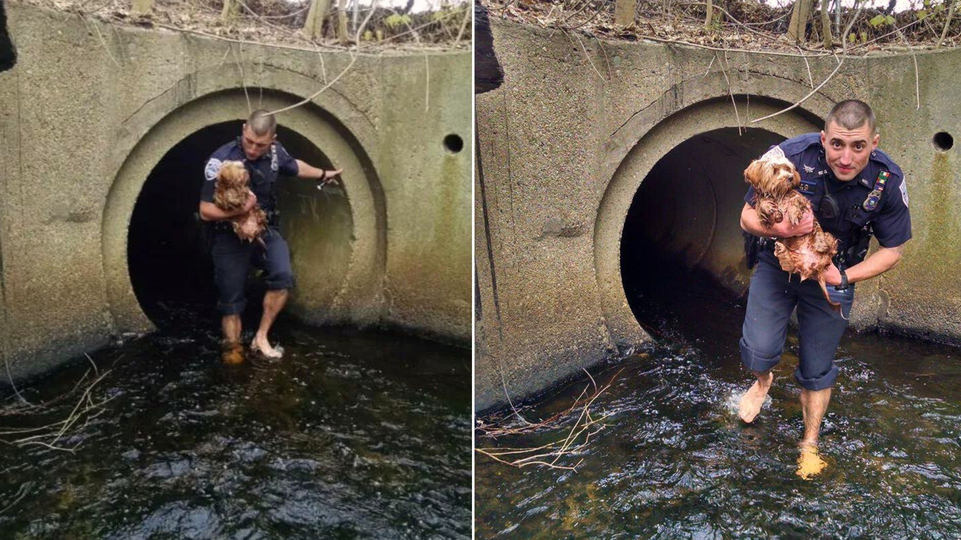 Brave Police Officers Jumps In And Saves A Dog From A Culvert