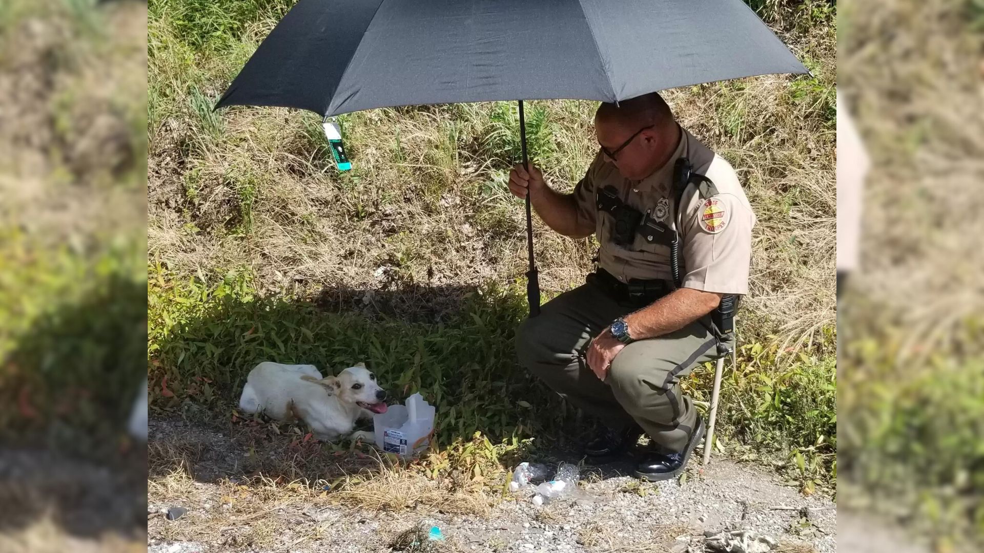 Highway Police Officer Saves A Dog’s Life During A Terrible Heatwave