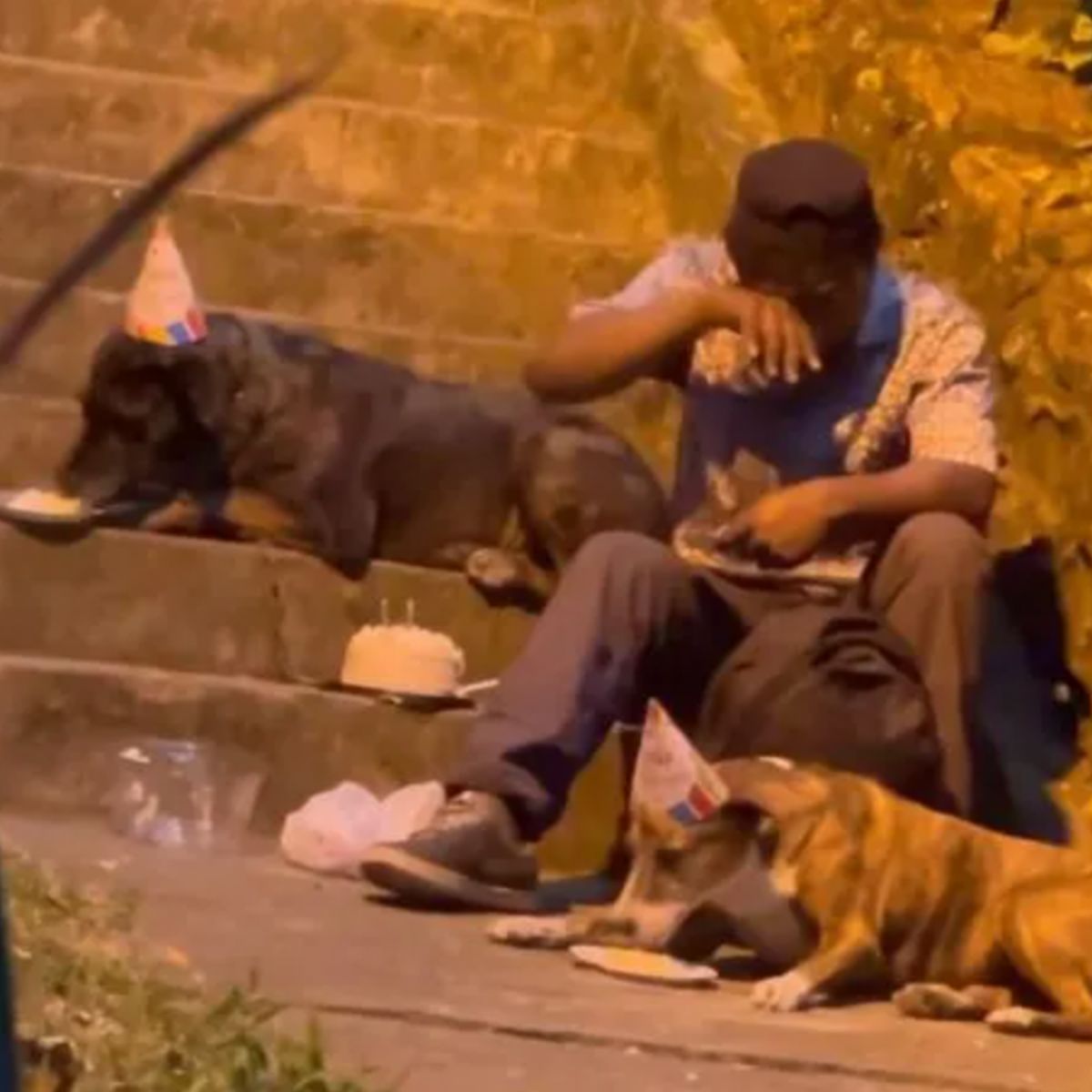 homeless man crying while two dogs are eating