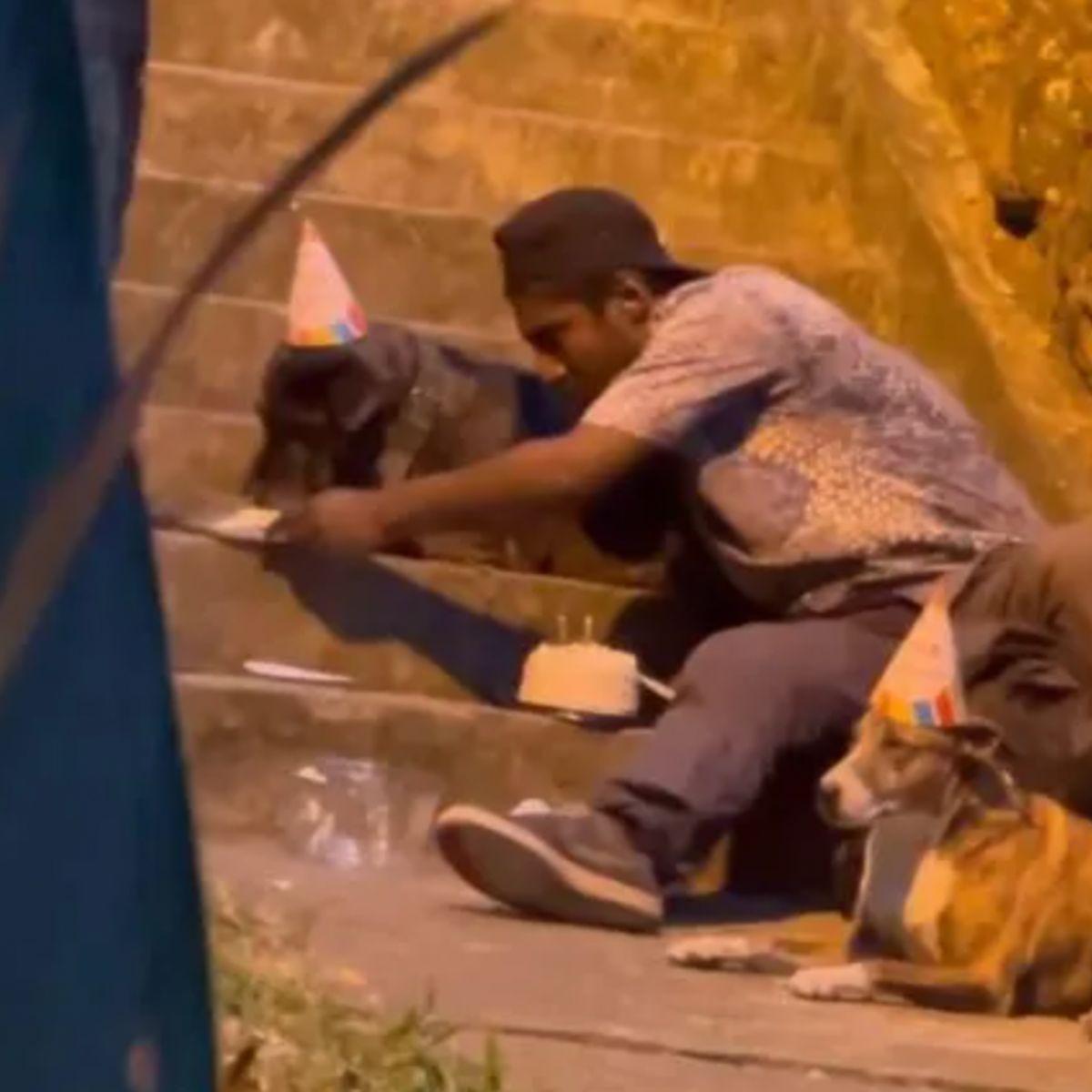 homeless man giving two pups a cake