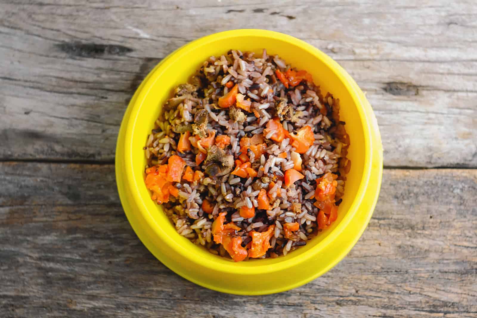 homemade dog food in yellow bowl