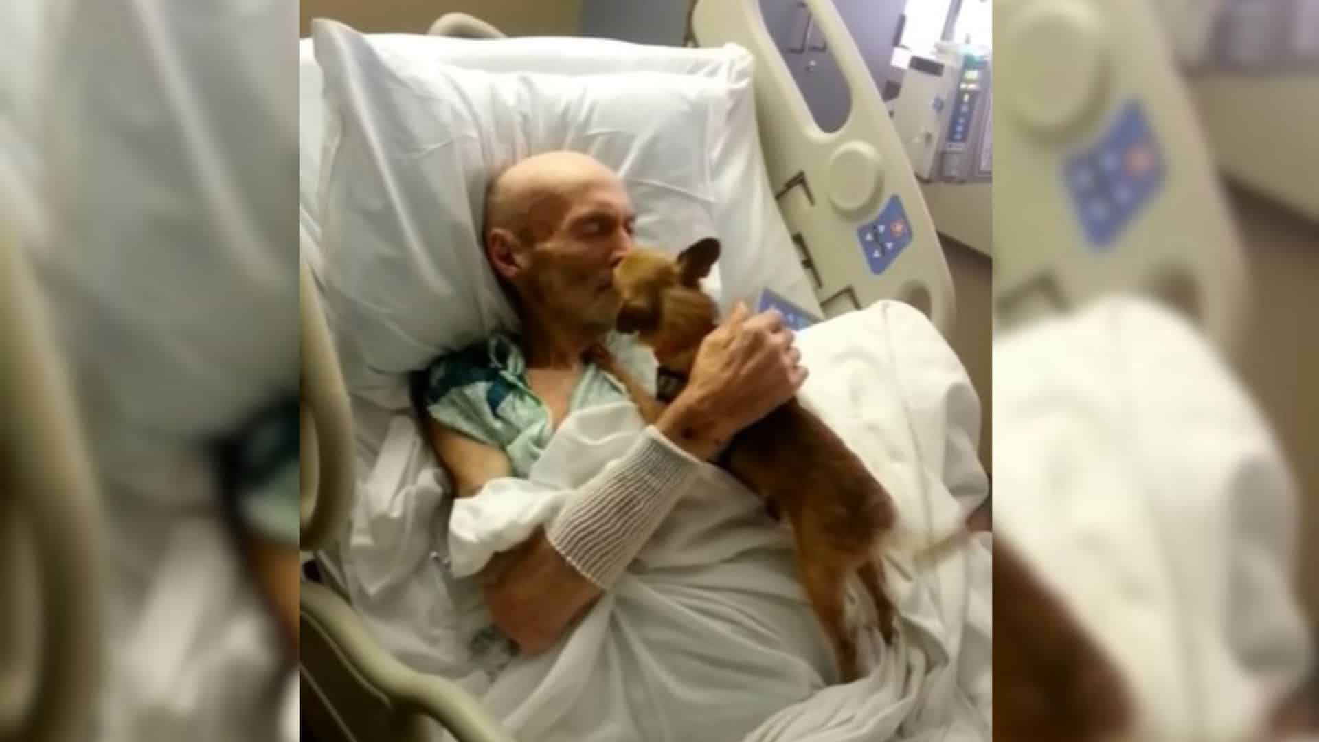 8-Year-Old Chihuahua Puts A Smile Back On A Hospital Patient’s Face