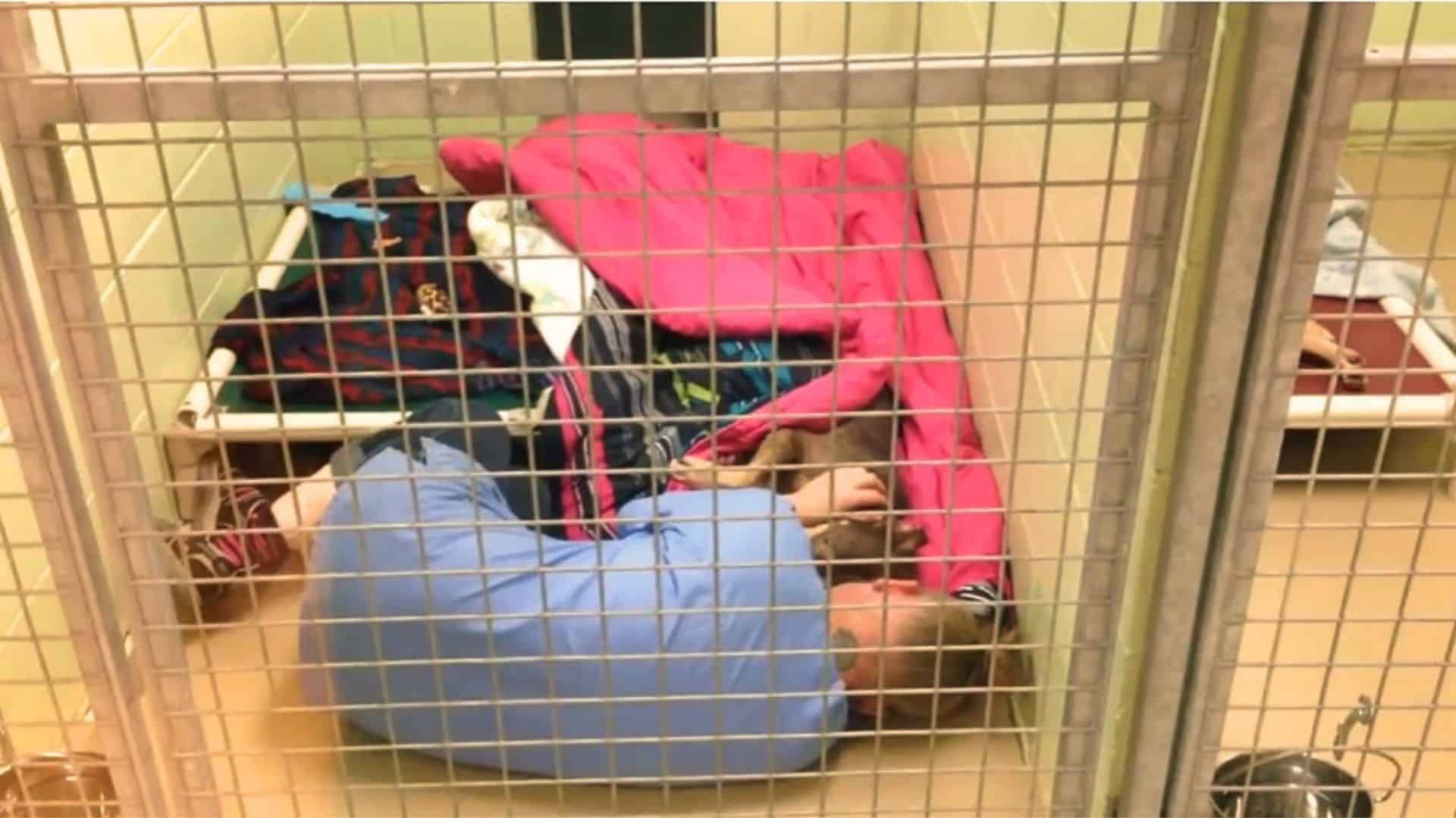 The Act Of Kindness Caught On Camera Proves Shelters Are No Places Of Despair For Dogs