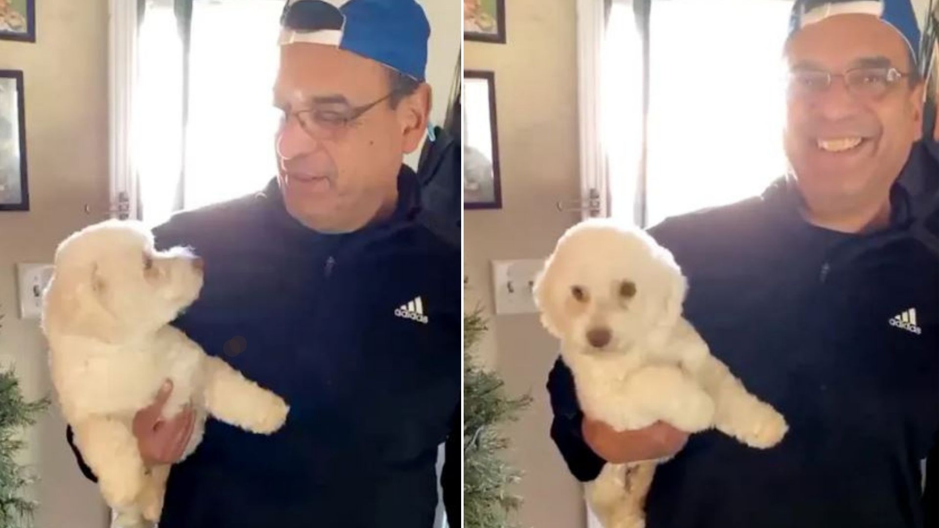 Witness How This Dad Realized He Accidentally Brought Home The Wrong Dog From The Groomer