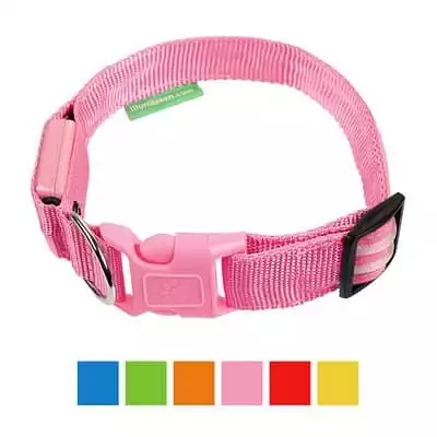 Illumiseen LED USB Dog Collar