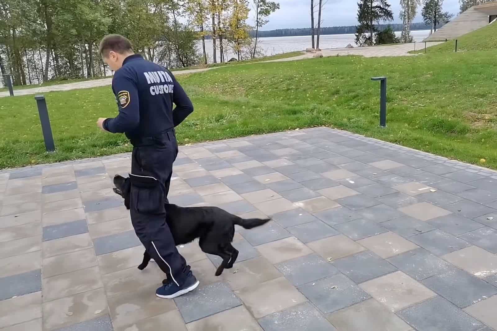 k9 officer dancing with his dog outdoors