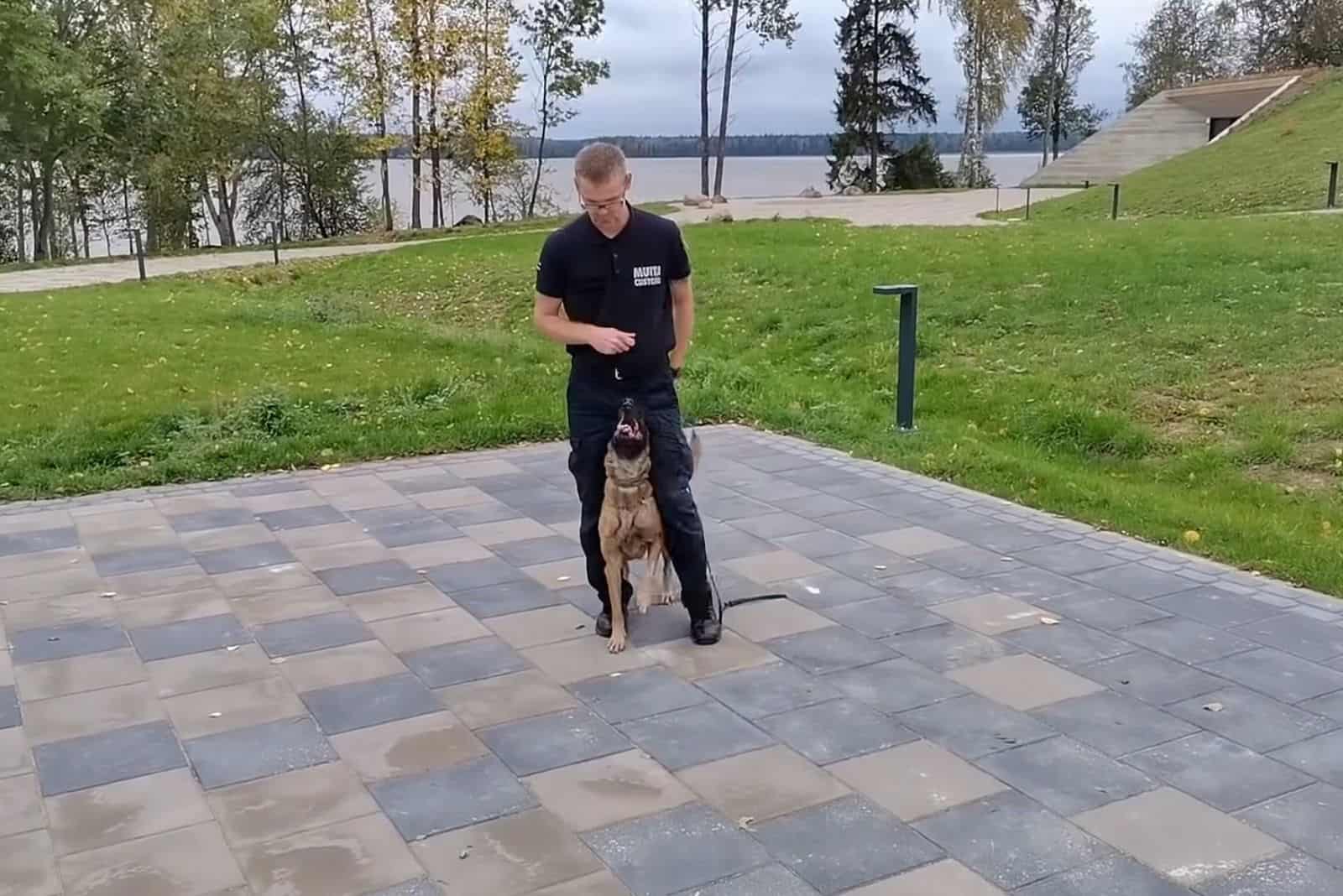 k9 officer with his dog dancing outdoors