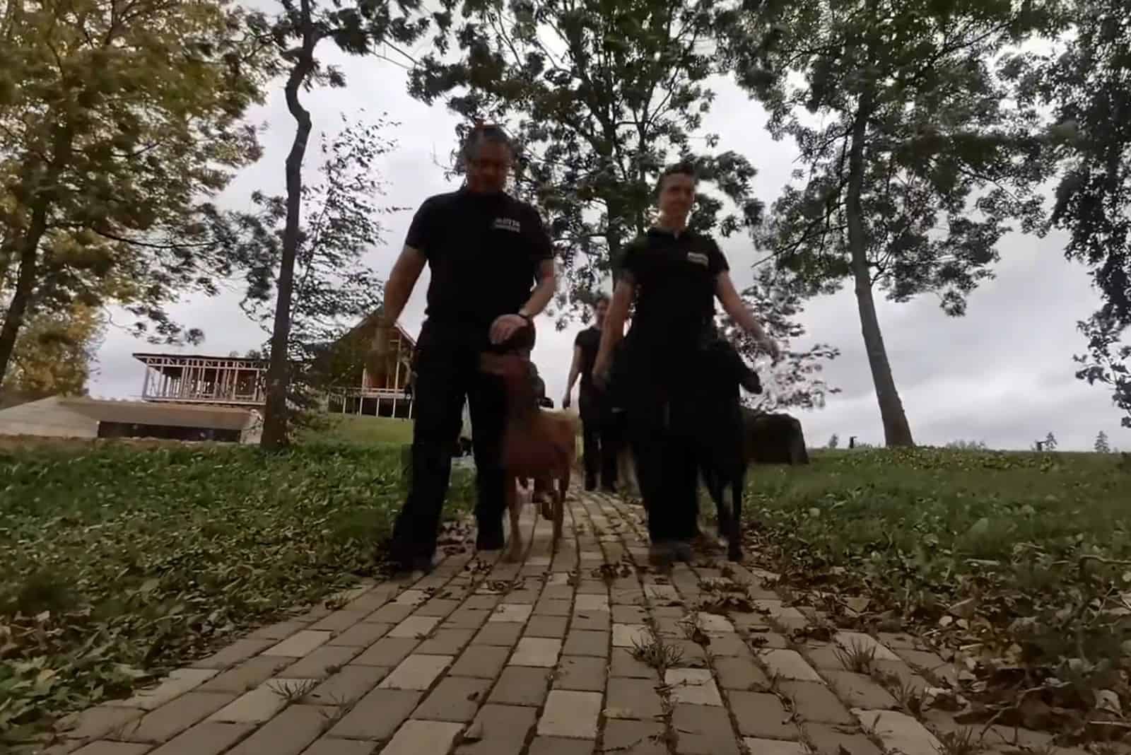 k9 officers with their dogs