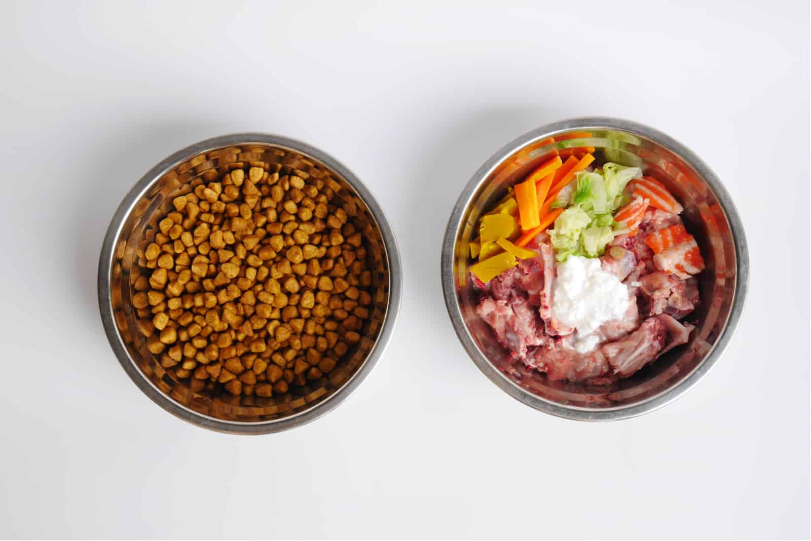 kibble and raw dog food