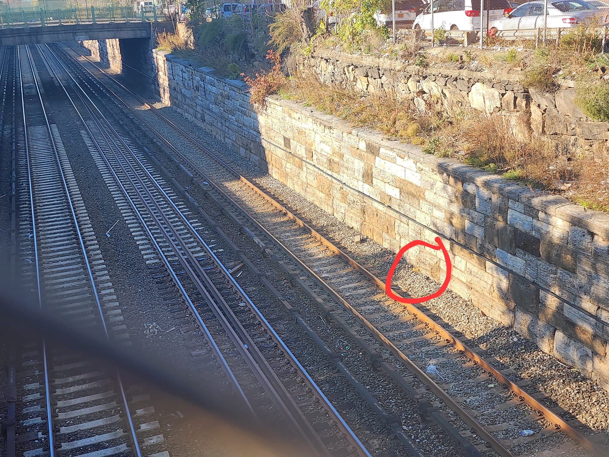 kitten on train tracks