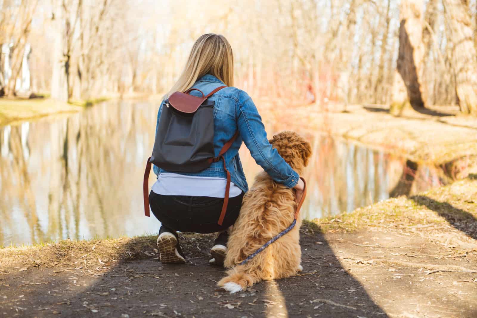 Labradoodle Dog and woman view from back outside at the park