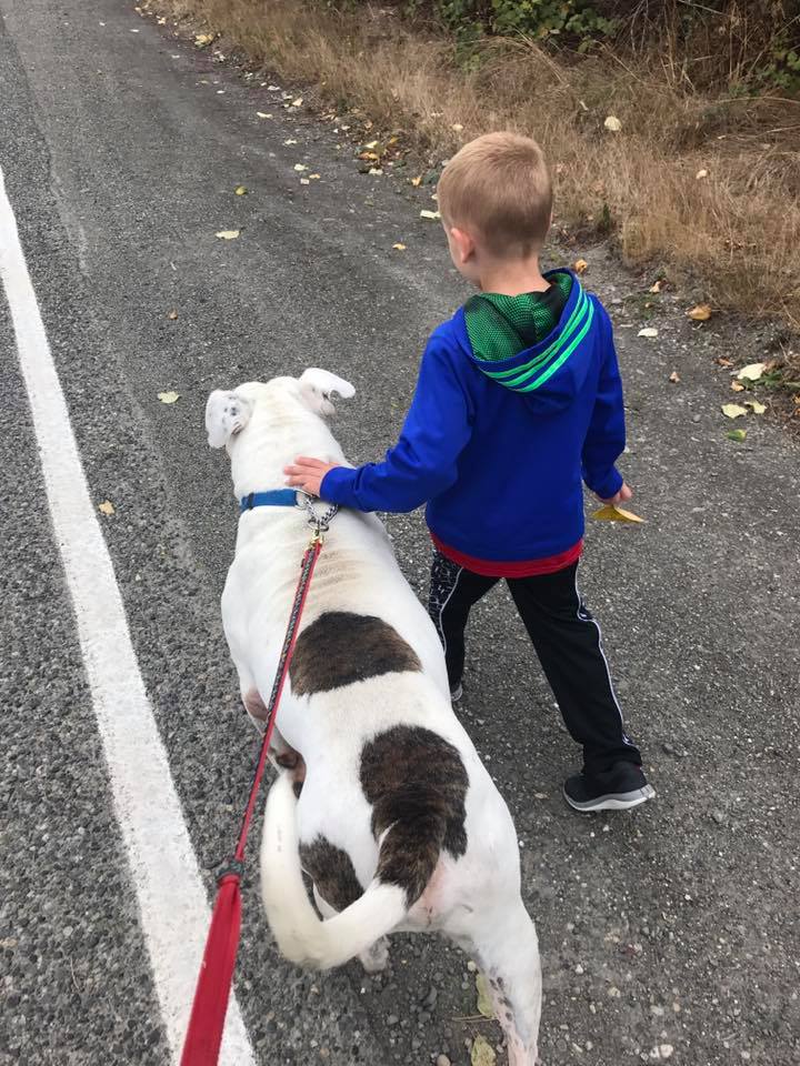 little boy and a dog walking on the side of the road