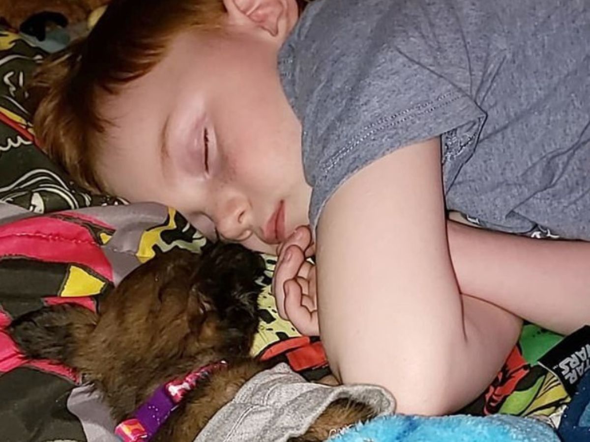 little boy and puppy sleeping together