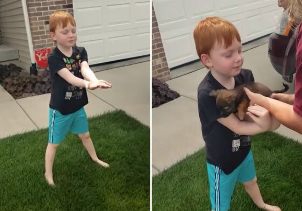 little boy being surprised with puppy