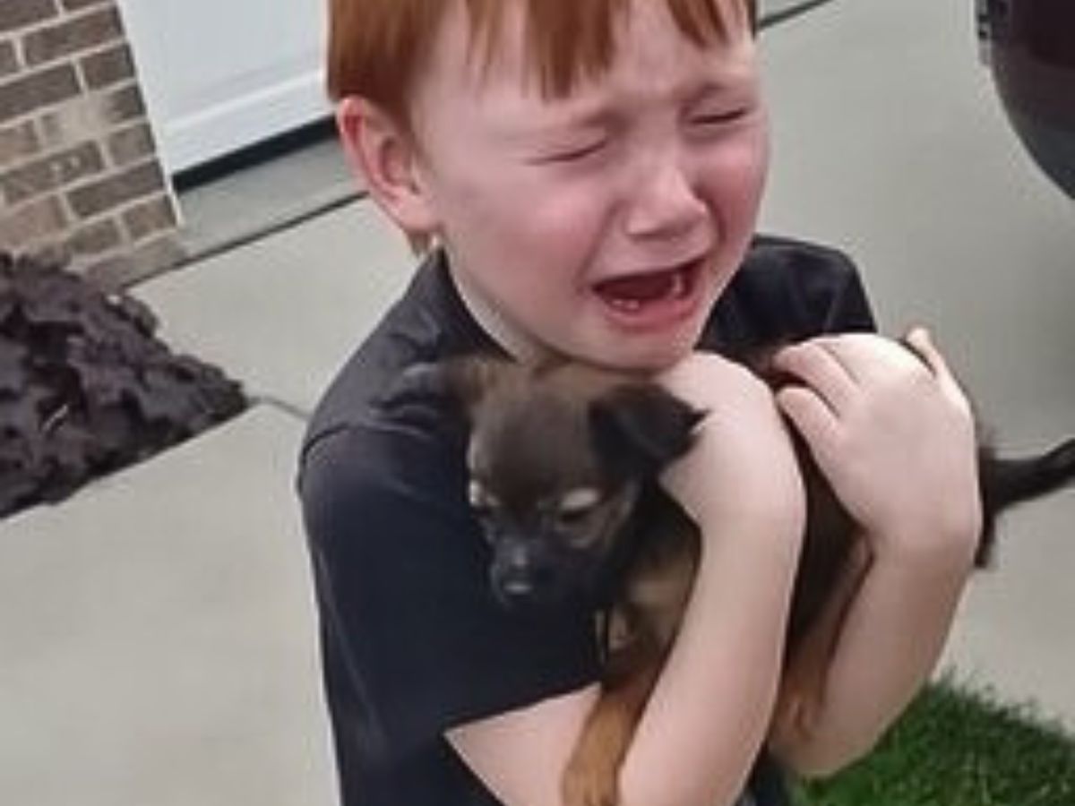 little boy crying with puppy in hands
